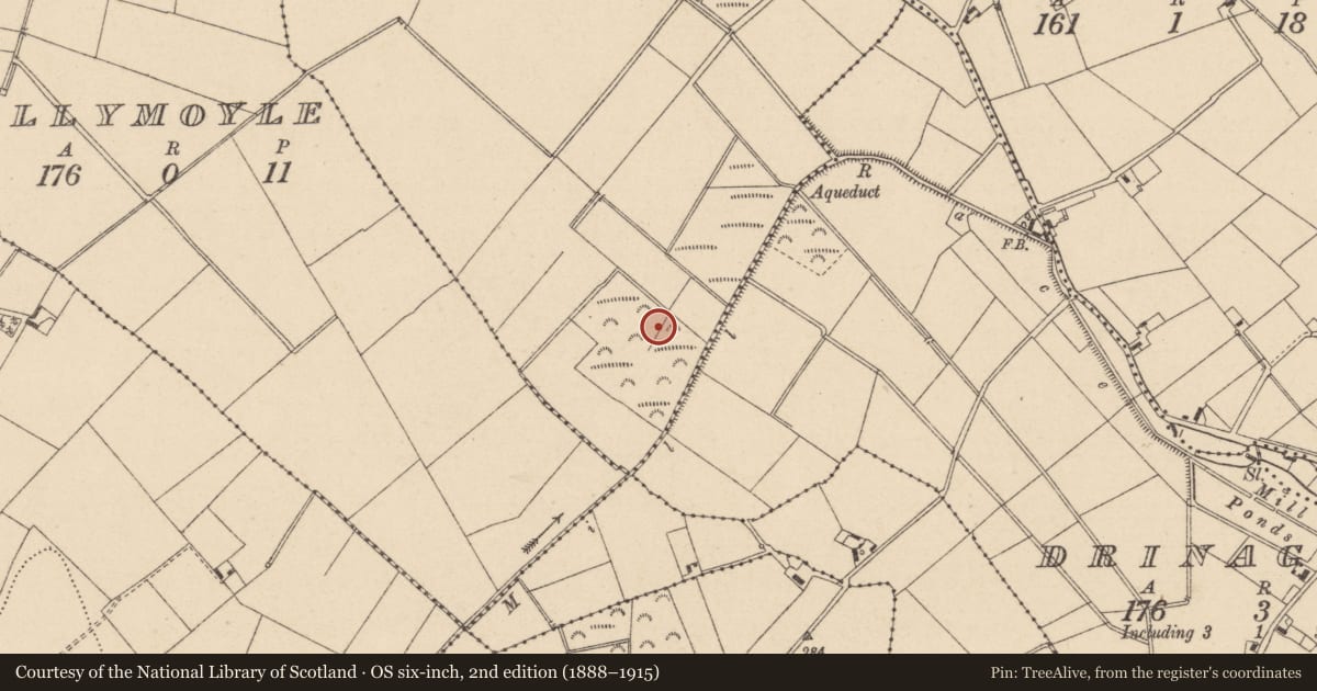 Ordnance Survey six-inch map, 2nd edition (1888–1915) covering the location of Mound, Garroon Or Summergrove, County Laois, with a pin at the register's coordinates