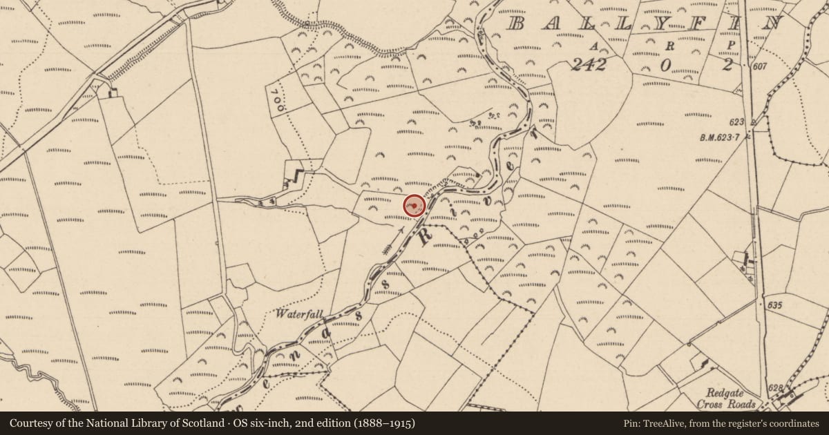 Ordnance Survey six-inch map, 2nd edition (1888–1915) covering the location of Bullaun stone, Ballyhuppahane, County Laois, with a pin at the register's coordinates