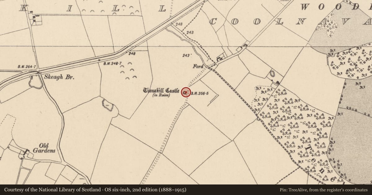 Ordnance Survey six-inch map, 2nd edition (1888–1915) covering the location of Sheela-na-gig, Tinnakill, County Laois, with a pin at the register's coordinates