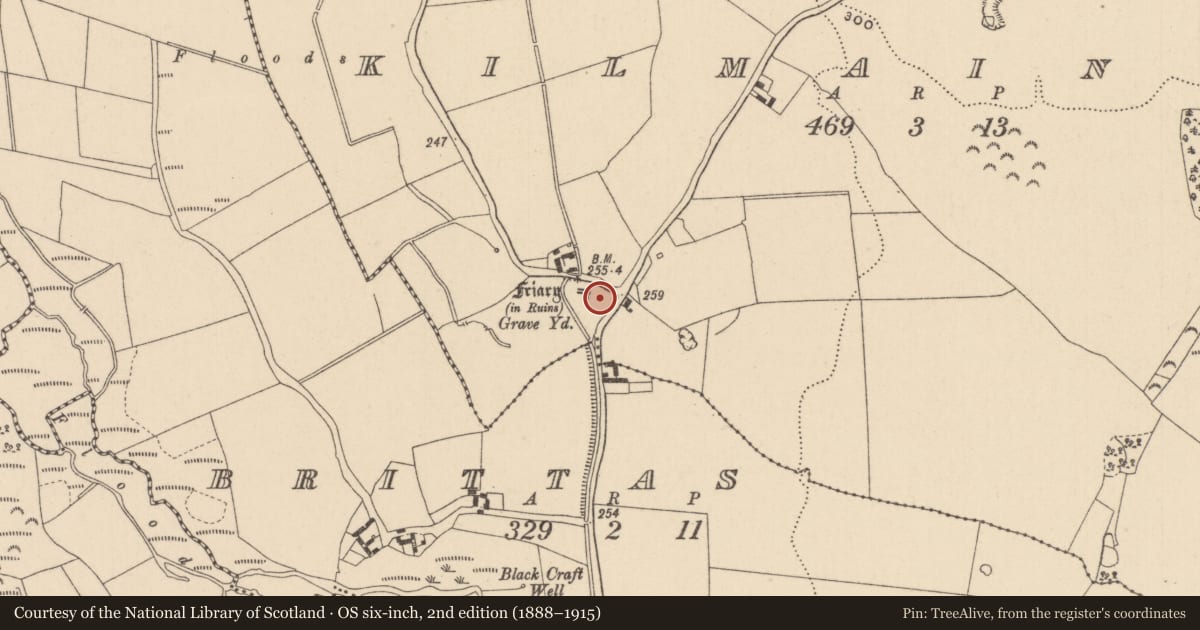 Ordnance Survey six-inch map, 2nd edition (1888–1915) covering the location of Graveyard, Kilmainham, County Laois, with a pin at the register's coordinates