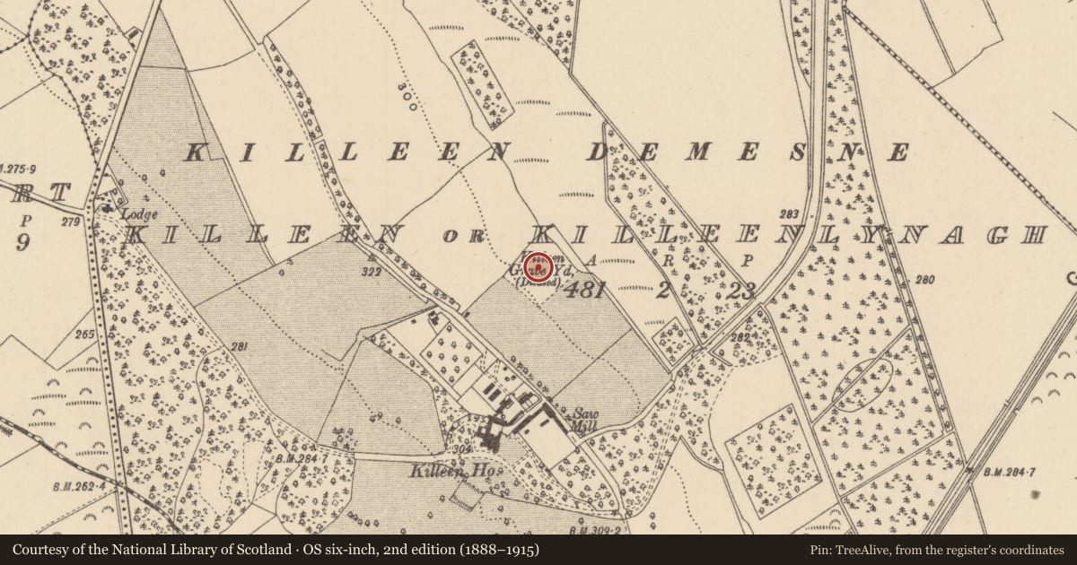Ordnance Survey six-inch map, 2nd edition (1888–1915) covering the location of Burial ground, Killeen Or Killeenlynagh, County Laois, with a pin at the register's coordinates