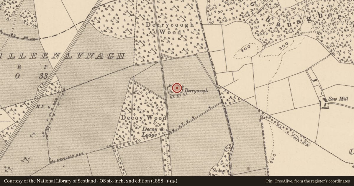 Ordnance Survey six-inch map, 2nd edition (1888–1915) covering the location of Enclosure, Shaen, County Laois, with a pin at the register's coordinates