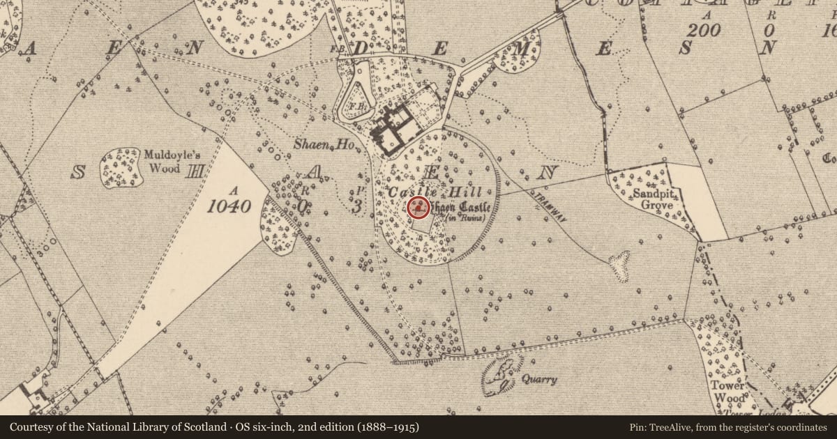 Ordnance Survey six-inch map, 2nd edition (1888–1915) covering the location of Castle - tower house, Shaen, County Laois, with a pin at the register's coordinates