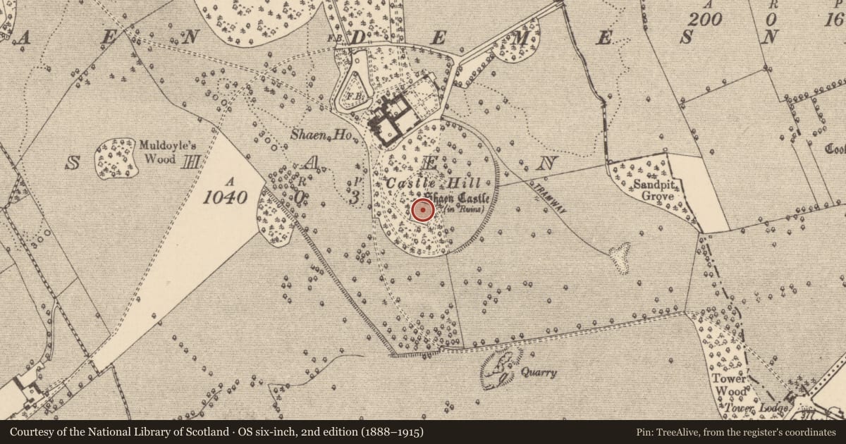 Ordnance Survey six-inch map, 2nd edition (1888–1915) covering the location of Sheela-na-gig, Shaen, County Laois, with a pin at the register's coordinates