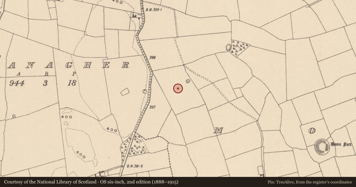 Ordnance Survey six-inch map, 2nd edition (1888–1915) covering the location of Enclosure, Morett, County Laois, with a pin at the register's coordinates