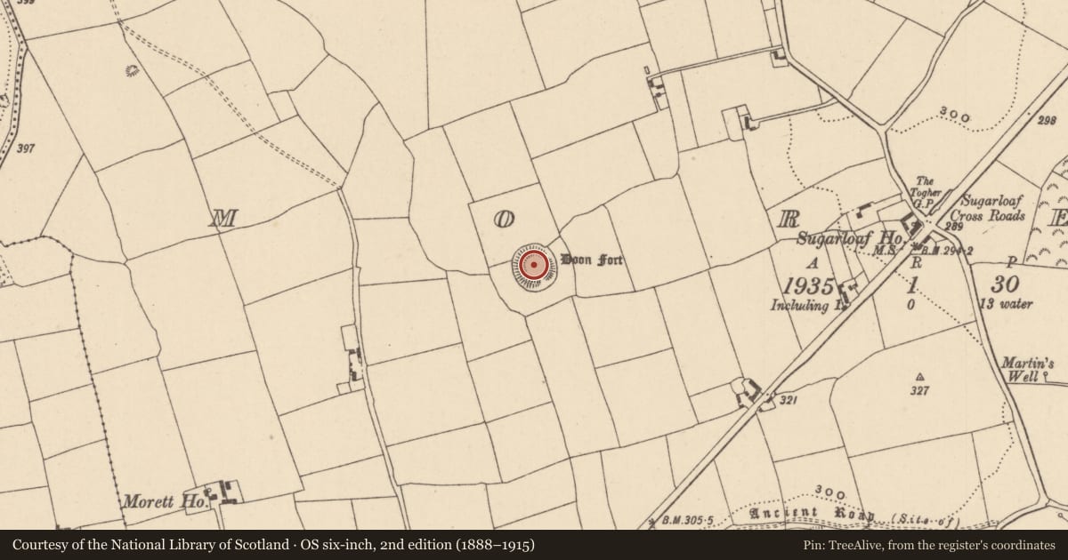 Ordnance Survey six-inch map, 2nd edition (1888–1915) covering the location of Ringfort - rath, Morett, County Laois, with a pin at the register's coordinates