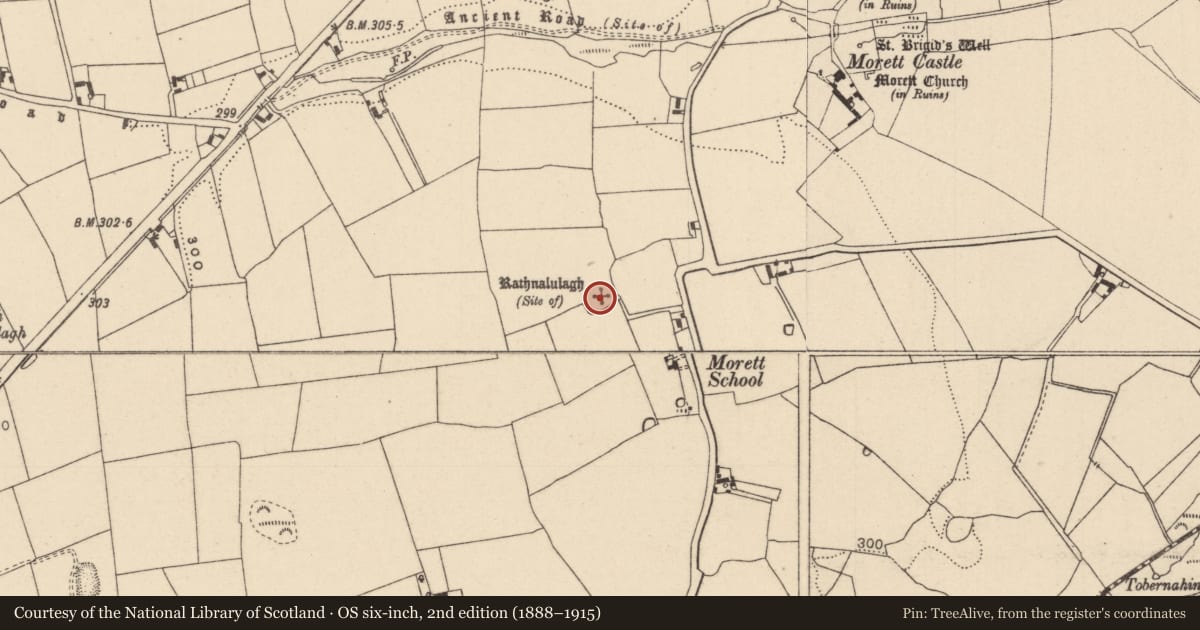 Ordnance Survey six-inch map, 2nd edition (1888–1915) covering the location of Ringfort - unclassified, Morett, County Laois, with a pin at the register's coordinates