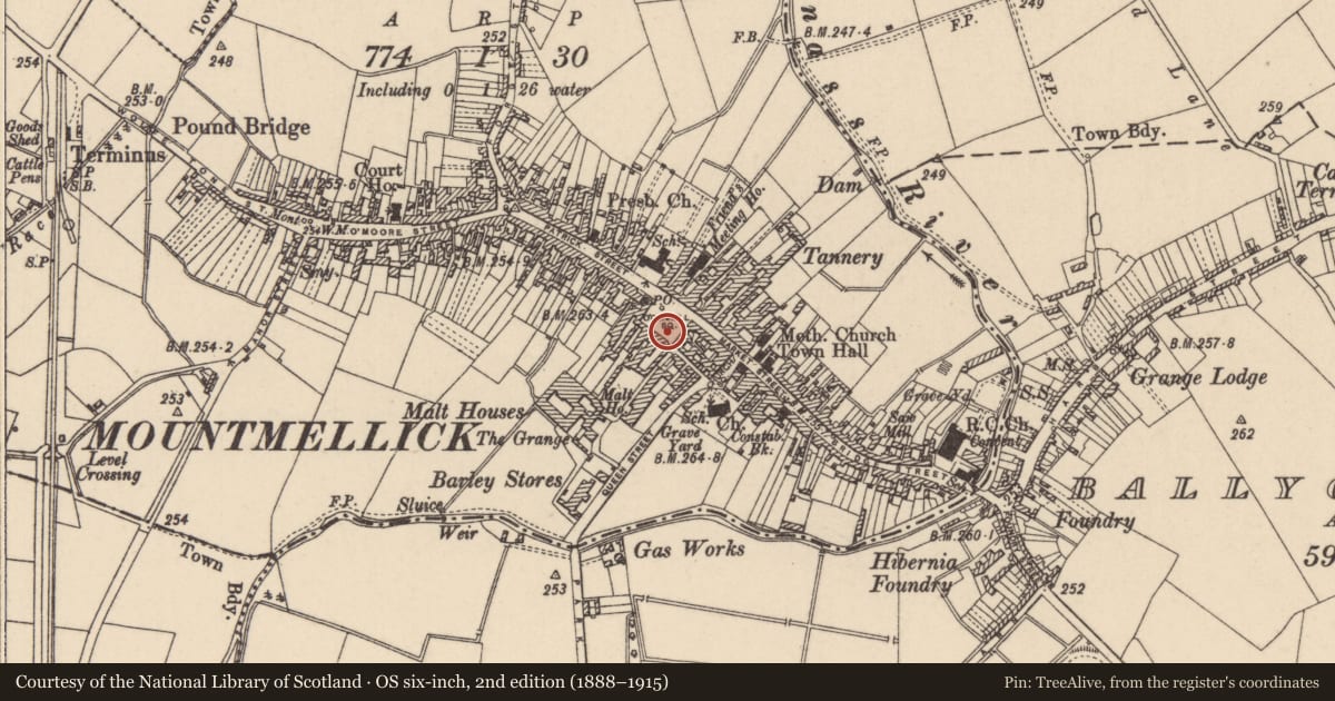 Ordnance Survey six-inch map, 2nd edition (1888–1915) covering the location of Historic town, Townparks, County Laois, with a pin at the register's coordinates