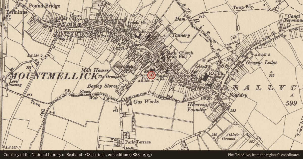 Ordnance Survey six-inch map, 2nd edition (1888–1915) covering the location of Graveyard, Townparks, County Laois, with a pin at the register's coordinates