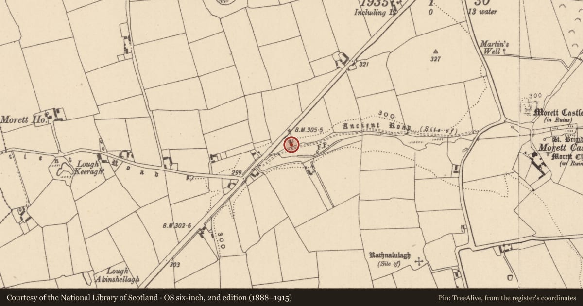 Ordnance Survey six-inch map, 2nd edition (1888–1915) covering the location of Fulacht fia, Morett, County Laois, with a pin at the register's coordinates