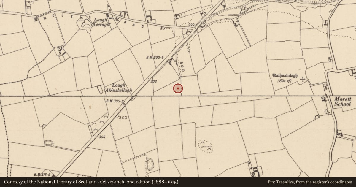 Ordnance Survey six-inch map, 2nd edition (1888–1915) covering the location of Burnt mound, Morett, County Laois, with a pin at the register's coordinates