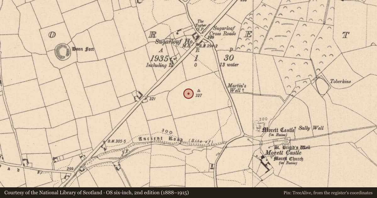 Ordnance Survey six-inch map, 2nd edition (1888–1915) covering the location of Pit, Morett, County Laois, with a pin at the register's coordinates
