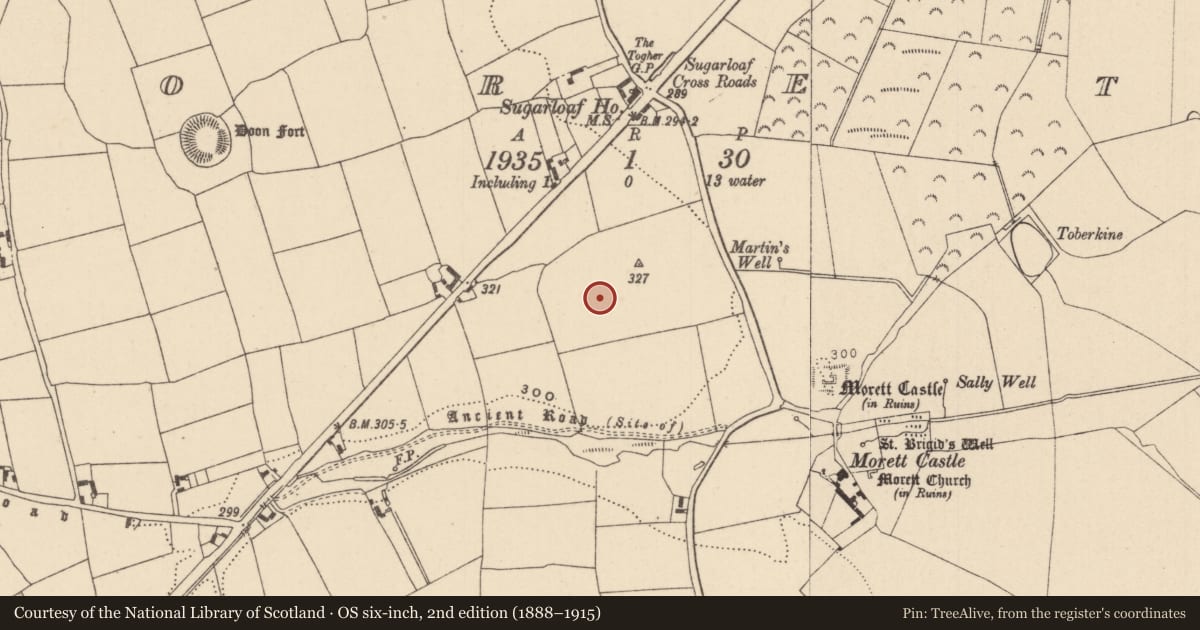 Ordnance Survey six-inch map, 2nd edition (1888–1915) covering the location of Kiln - corn-drying, Morett, County Laois, with a pin at the register's coordinates