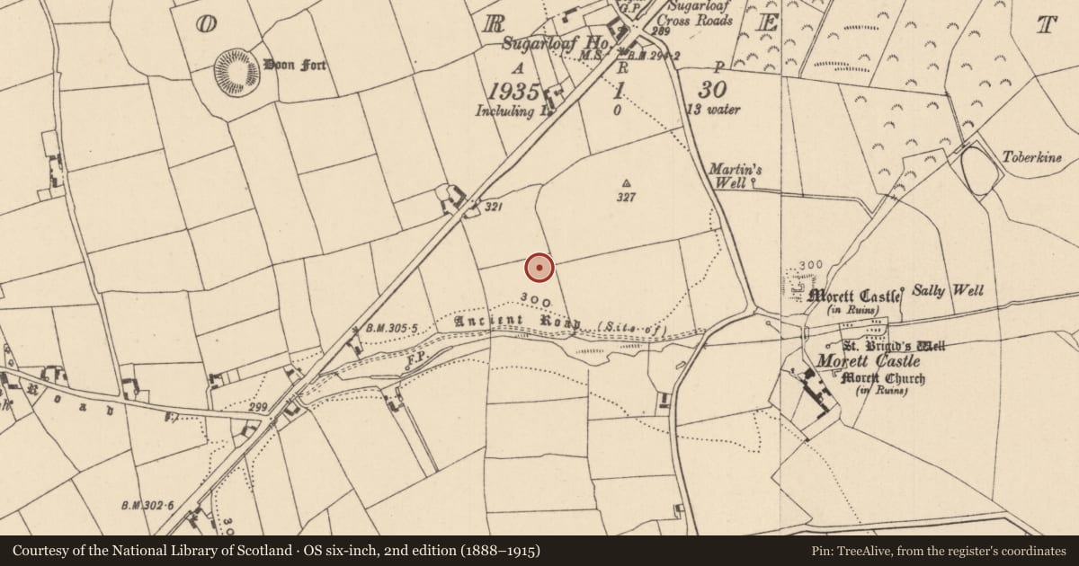 Ordnance Survey six-inch map, 2nd edition (1888–1915) covering the location of Burial, Morett, County Laois, with a pin at the register's coordinates