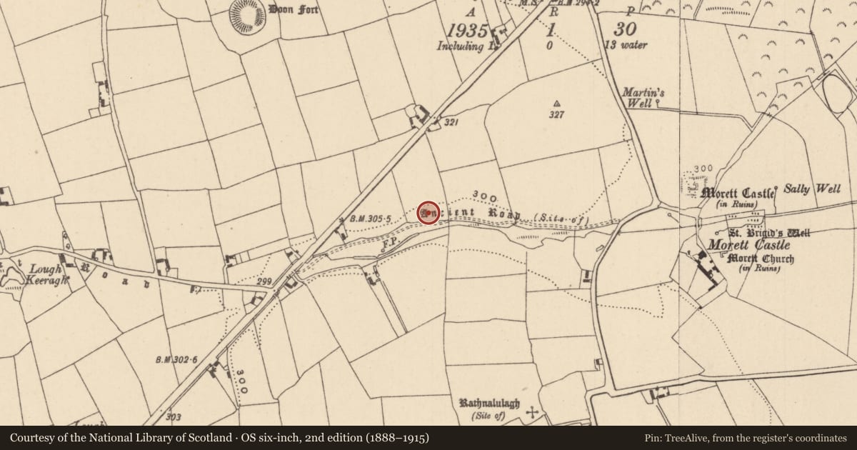 Ordnance Survey six-inch map, 2nd edition (1888–1915) covering the location of Burial, Morett, County Laois, with a pin at the register's coordinates