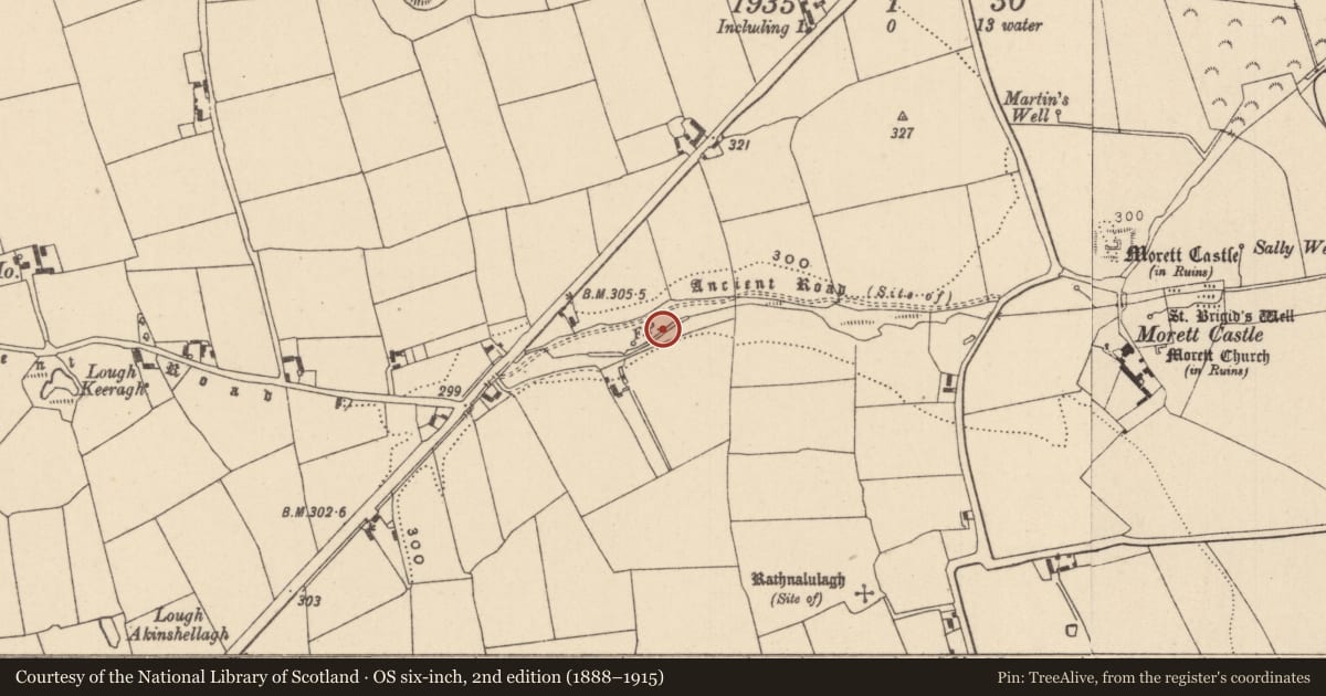 Ordnance Survey six-inch map, 2nd edition (1888–1915) covering the location of Fulacht fia, Morett, County Laois, with a pin at the register's coordinates