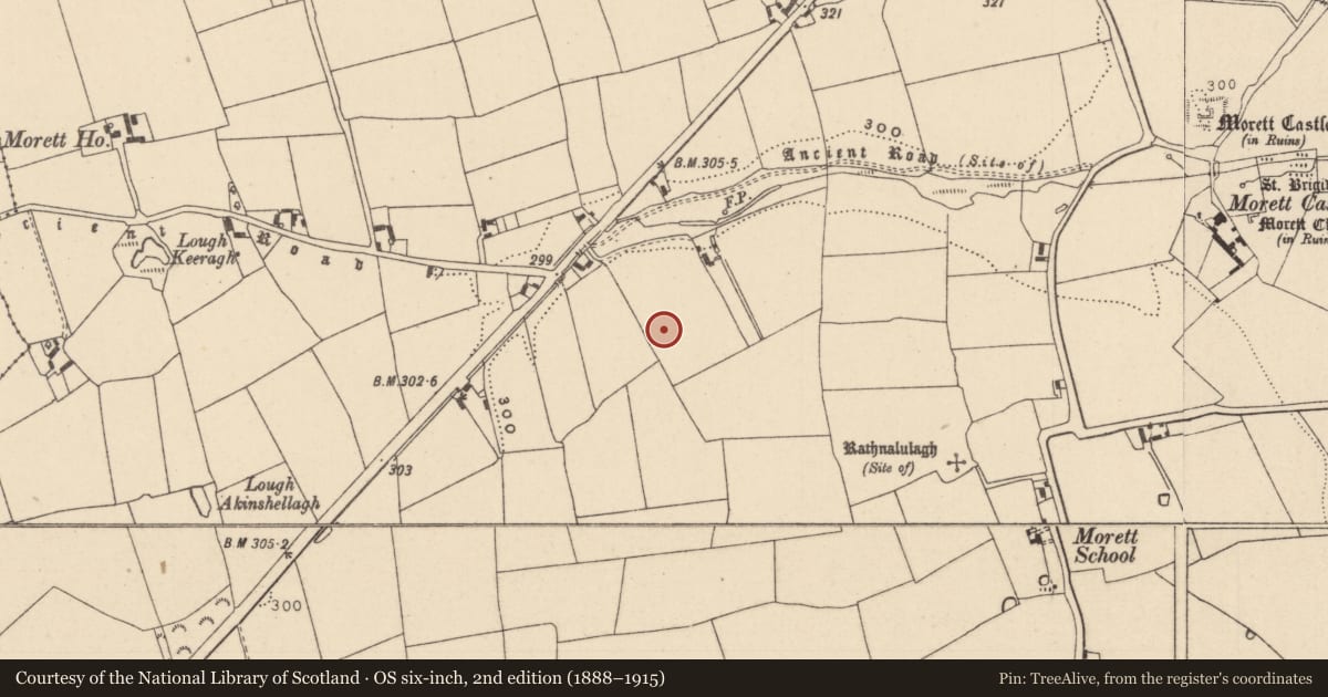 Ordnance Survey six-inch map, 2nd edition (1888–1915) covering the location of Pit, Morett, County Laois, with a pin at the register's coordinates