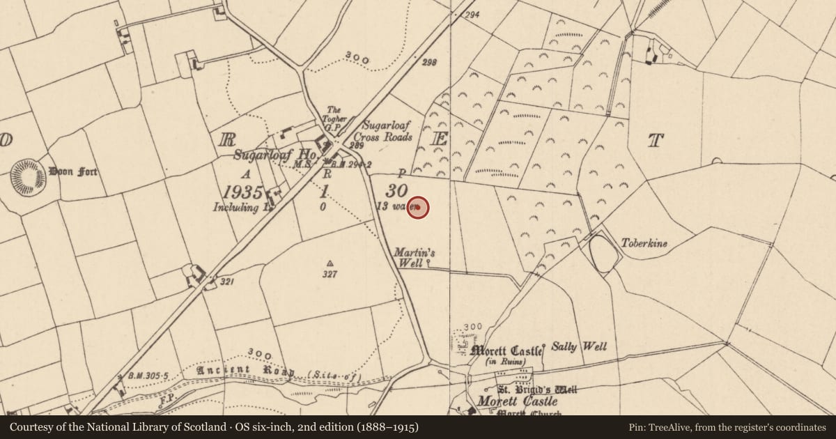 Ordnance Survey six-inch map, 2nd edition (1888–1915) covering the location of Burial, Morett, County Laois, with a pin at the register's coordinates