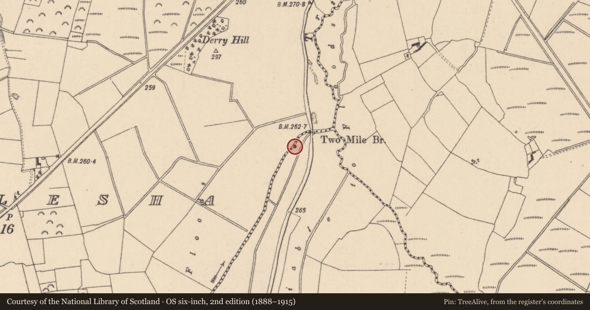 Ordnance Survey six-inch map, 2nd edition (1888–1915) covering the location of Burial, Knocknagroagh, Kyletalesha, County Laois, with a pin at the register's coordinates