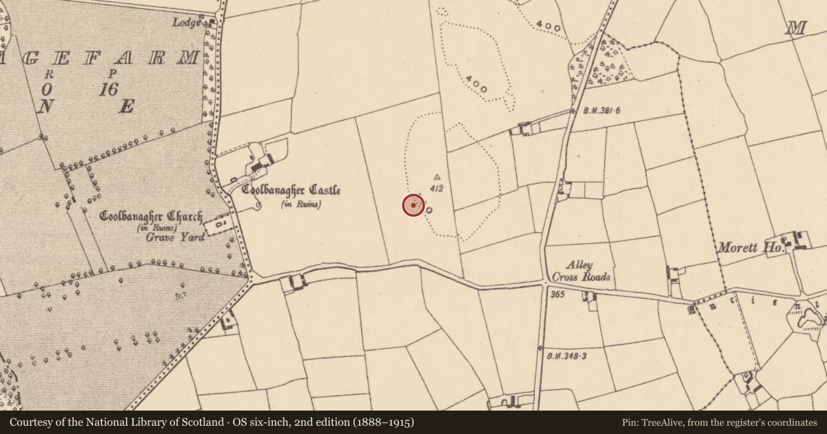 Ordnance Survey six-inch map, 2nd edition (1888–1915) covering the location of Enclosure - large enclosure, Coolbanagher, County Laois, with a pin at the register's coordinates