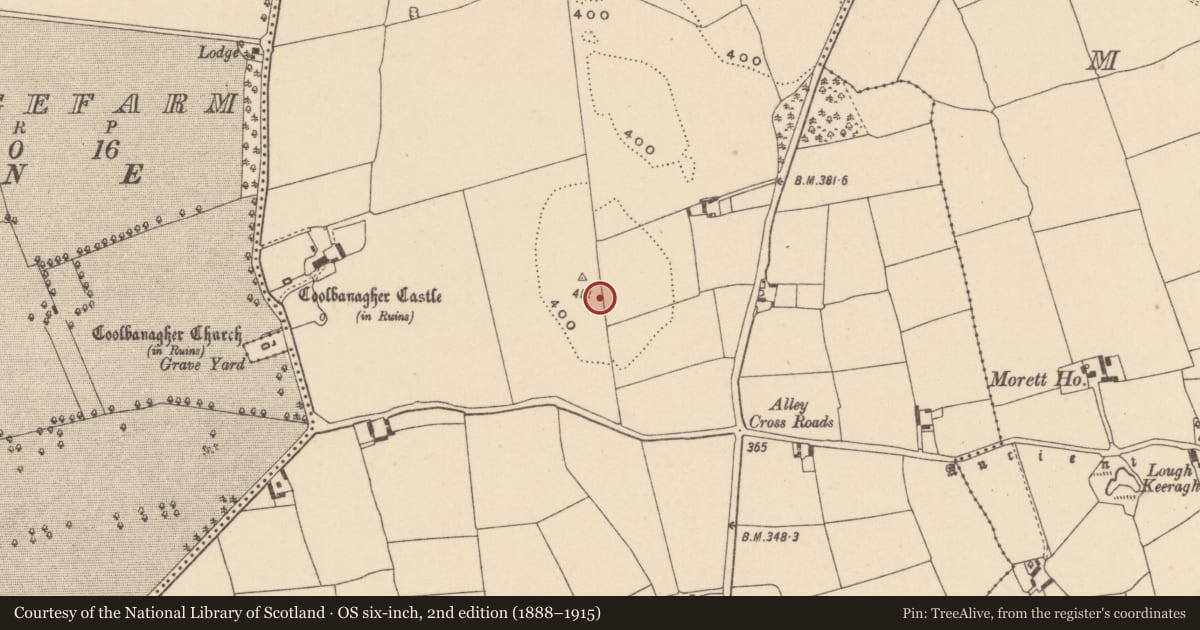 Ordnance Survey six-inch map, 2nd edition (1888–1915) covering the location of Enclosure, Coolbanagher, County Laois, with a pin at the register's coordinates