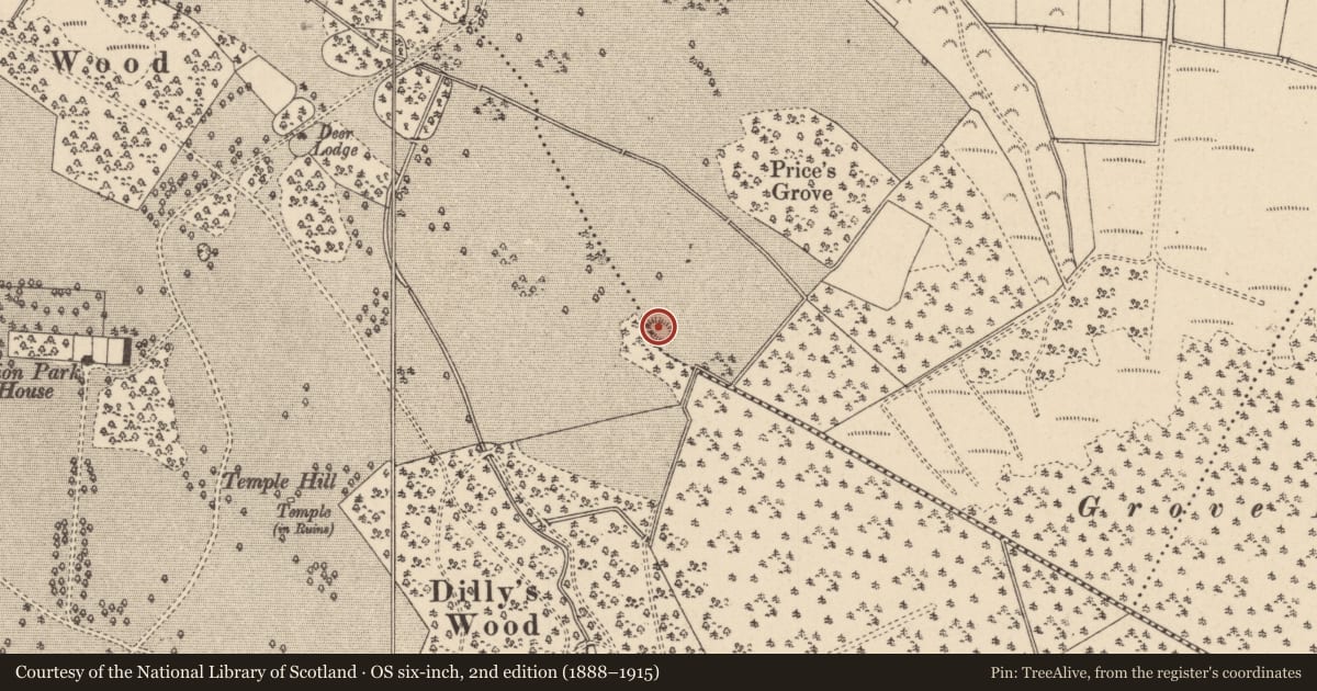 Ordnance Survey six-inch map, 2nd edition (1888–1915) covering the location of Mound, Emo Park, County Laois, with a pin at the register's coordinates