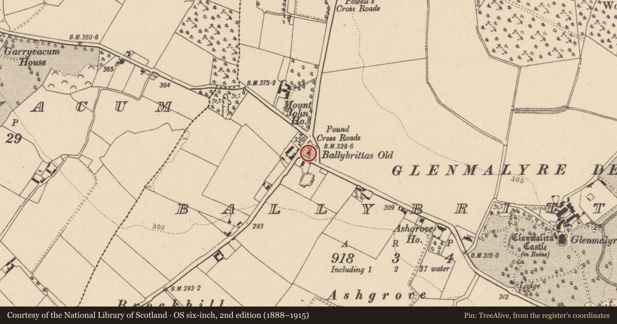 Ordnance Survey six-inch map, 2nd edition (1888–1915) covering the location of Settlement deserted - medieval, Ballybrittas, County Laois, with a pin at the register's coordinates