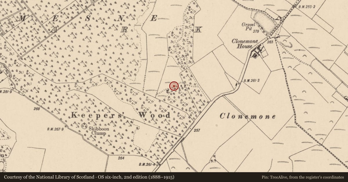Ordnance Survey six-inch map, 2nd edition (1888–1915) covering the location of Road - unclassified togher, Emo Park, County Laois, with a pin at the register's coordinates