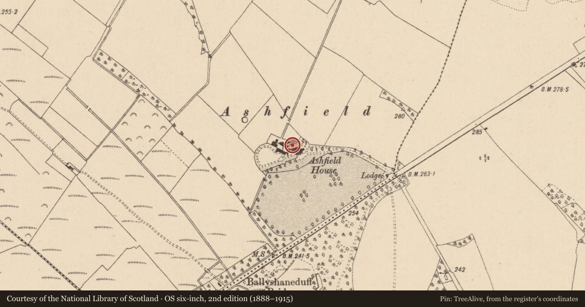 Ordnance Survey six-inch map, 2nd edition (1888–1915) covering the location of Designed landscape feature, Ballybrittas, County Laois, with a pin at the register's coordinates