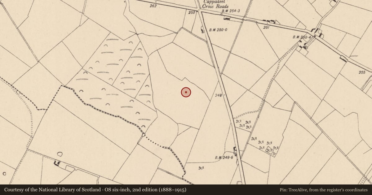 Ordnance Survey six-inch map, 2nd edition (1888–1915) covering the location of Enclosure, Cappakeel, County Laois, with a pin at the register's coordinates