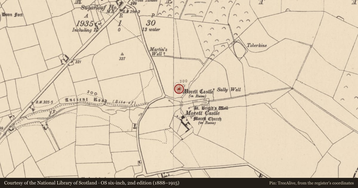 Ordnance Survey six-inch map, 2nd edition (1888–1915) covering the location of House - fortified house, Morett, County Laois, with a pin at the register's coordinates