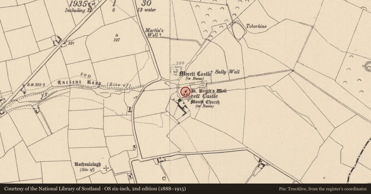 Ordnance Survey six-inch map, 2nd edition (1888–1915) covering the location of Ritual site - holy well, Morett, County Laois, with a pin at the register's coordinates