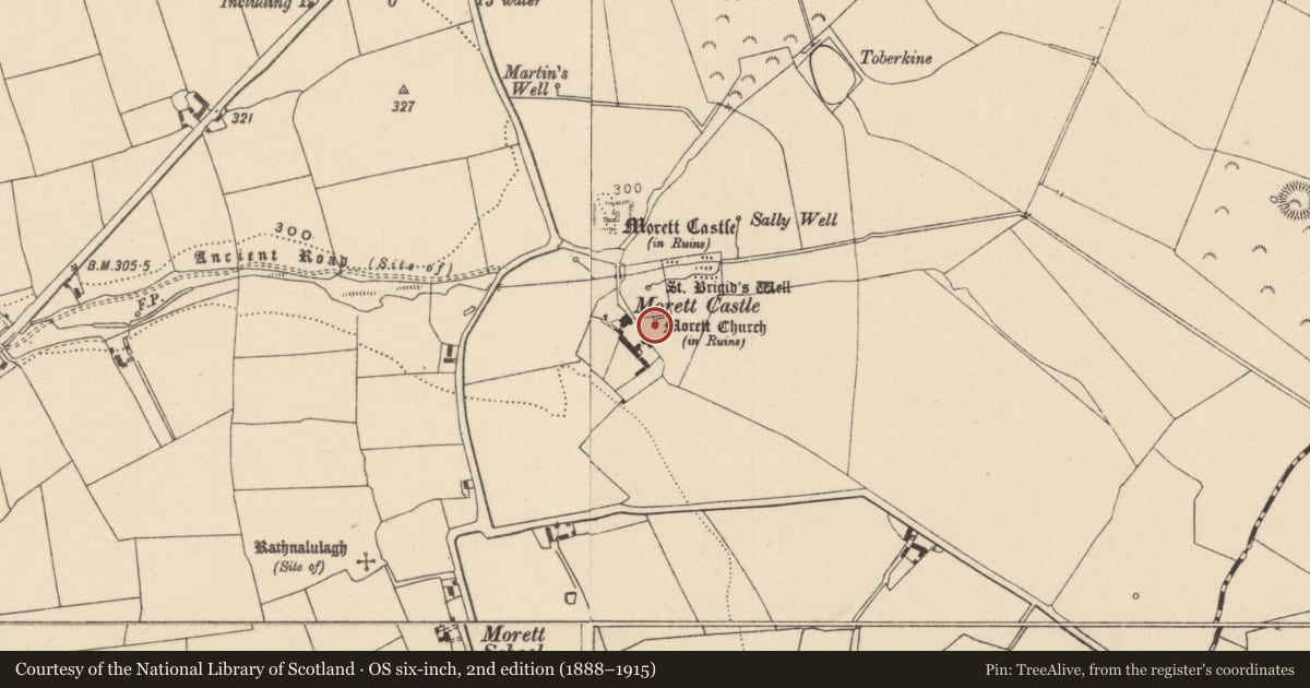 Ordnance Survey six-inch map, 2nd edition (1888–1915) covering the location of Graveyard, Morett, County Laois, with a pin at the register's coordinates
