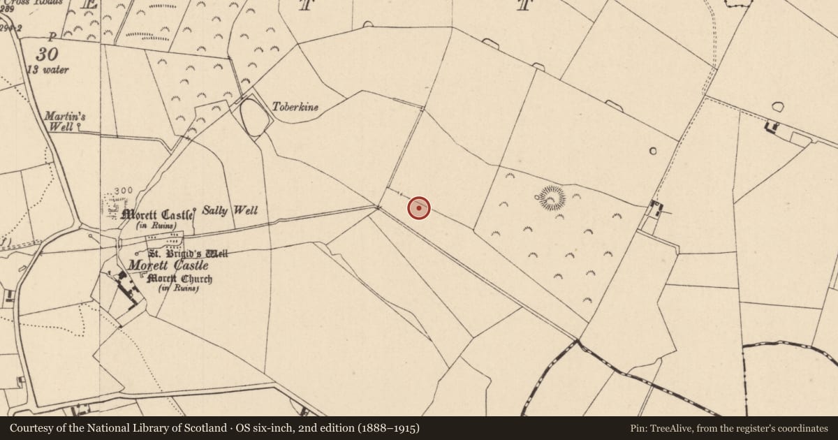 Ordnance Survey six-inch map, 2nd edition (1888–1915) covering the location of Water mill - horizontal-wheeled, Morett, County Laois, with a pin at the register's coordinates