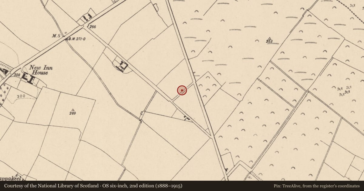 Ordnance Survey six-inch map, 2nd edition (1888–1915) covering the location of Road - road/trackway, Cappakeel, County Laois, with a pin at the register's coordinates