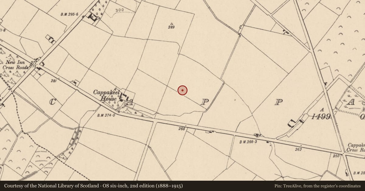 Ordnance Survey six-inch map, 2nd edition (1888–1915) covering the location of Charcoal-making site, Cappakeel, County Laois, with a pin at the register's coordinates