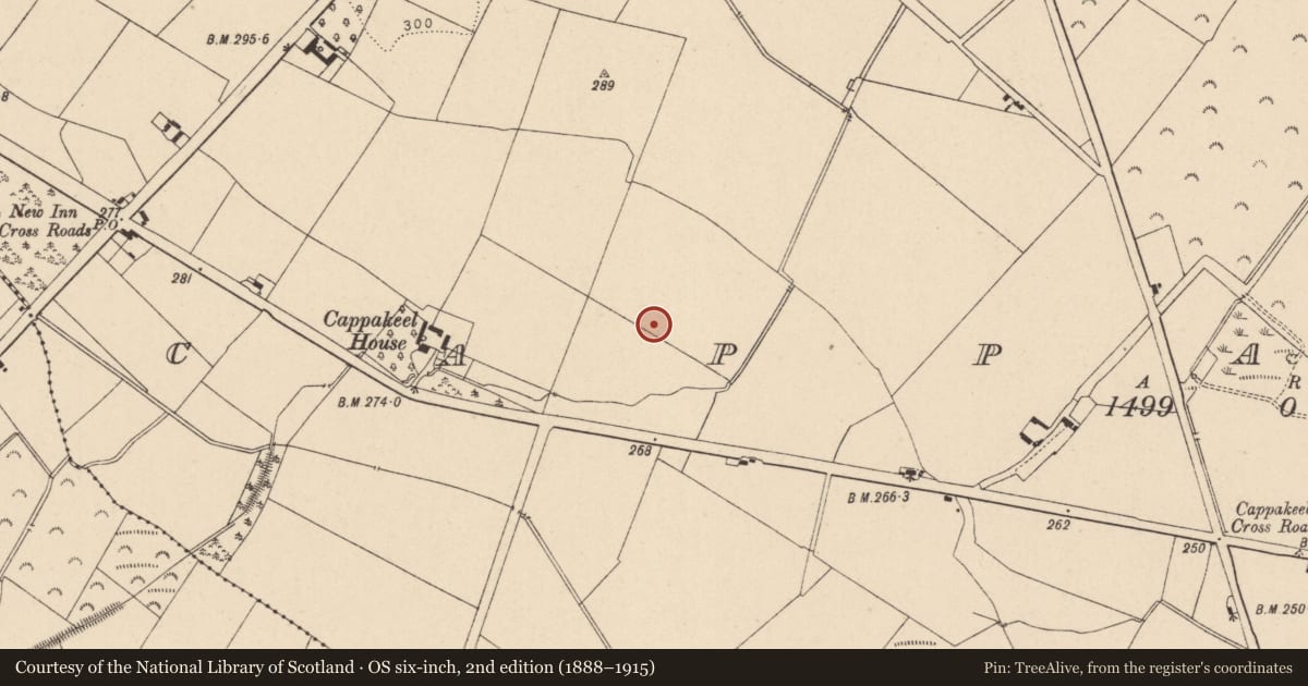 Ordnance Survey six-inch map, 2nd edition (1888–1915) covering the location of Ring-ditch, Cappakeel, County Laois, with a pin at the register's coordinates