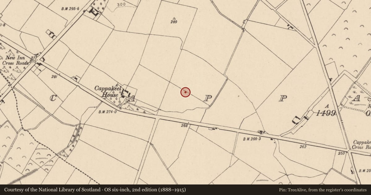 Ordnance Survey six-inch map, 2nd edition (1888–1915) covering the location of Charcoal-making site, Cappakeel, County Laois, with a pin at the register's coordinates