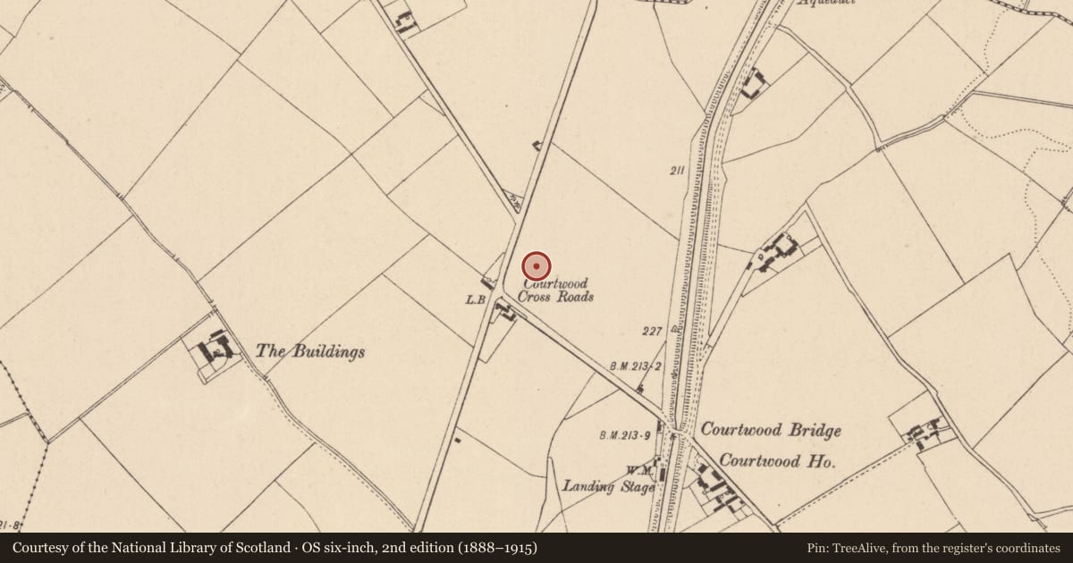 Ordnance Survey six-inch map, 2nd edition (1888–1915) covering the location of Field system, Courtwood, County Laois, with a pin at the register's coordinates