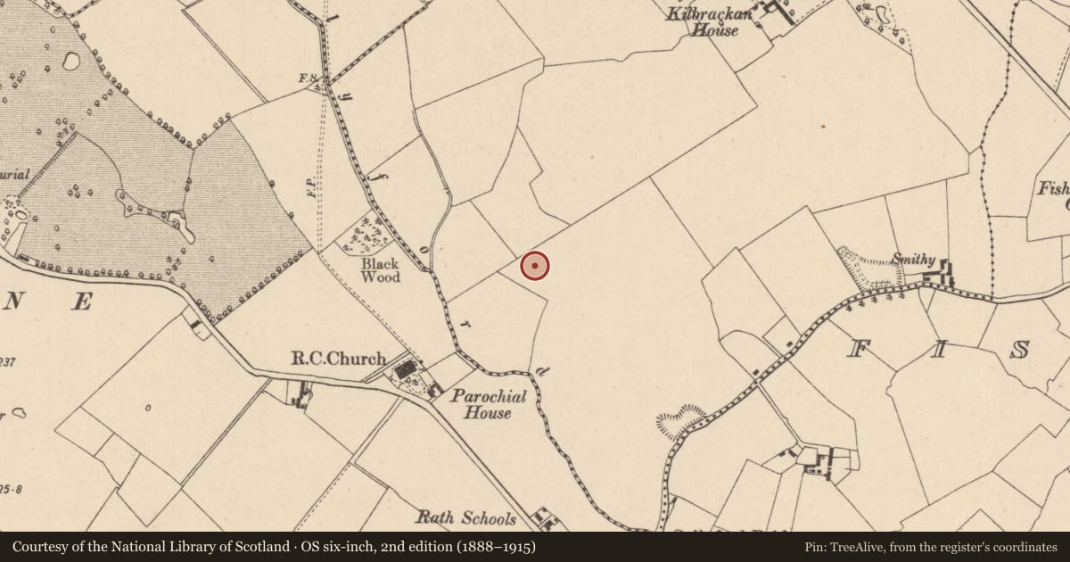 Ordnance Survey six-inch map, 2nd edition (1888–1915) covering the location of Enclosure, Kilbrackan, County Laois, with a pin at the register's coordinates