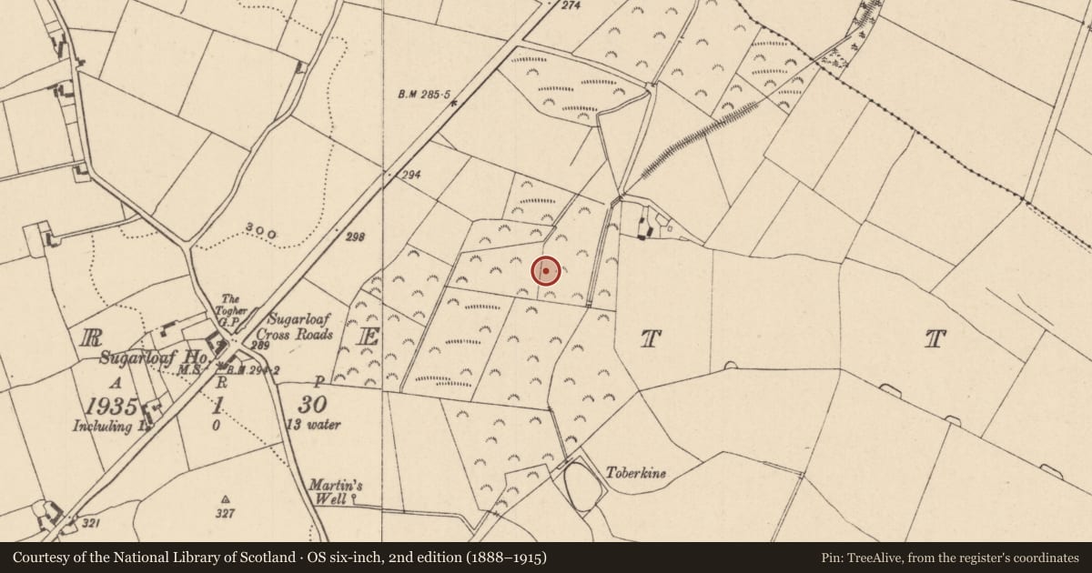 Ordnance Survey six-inch map, 2nd edition (1888–1915) covering the location of Fulacht fia, Morett, County Laois, with a pin at the register's coordinates