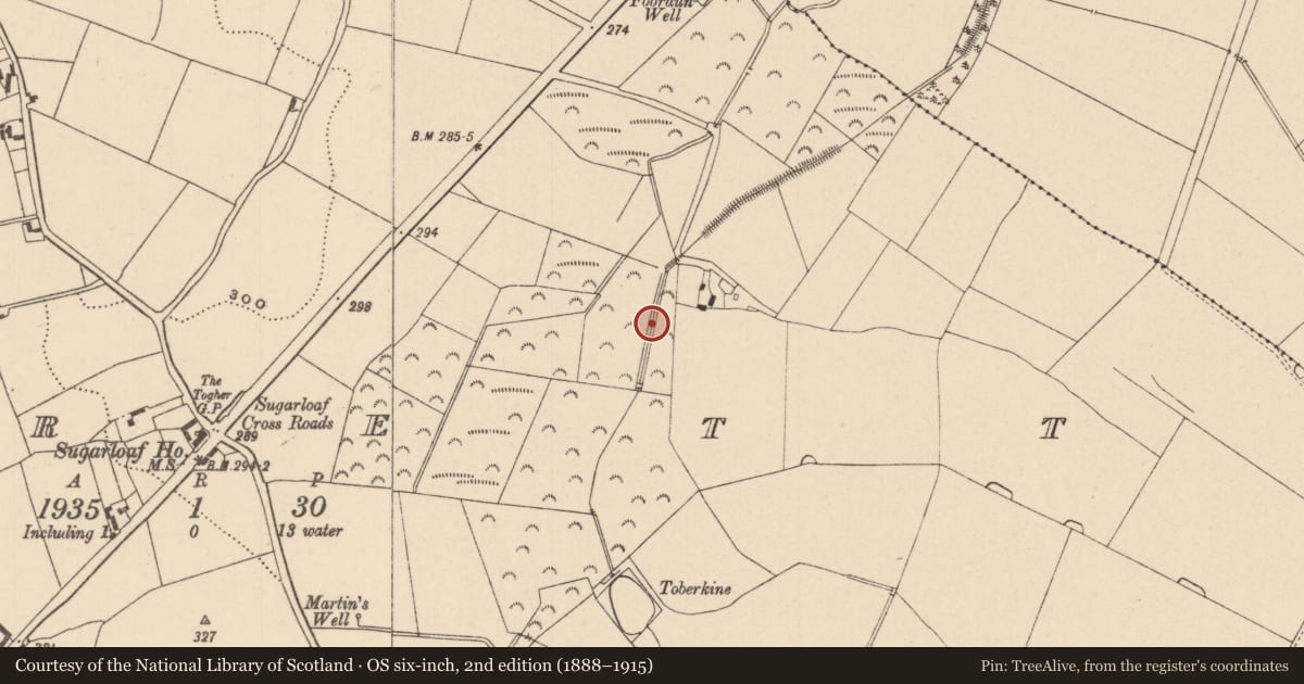 Ordnance Survey six-inch map, 2nd edition (1888–1915) covering the location of Excavation - miscellaneous, Morett, County Laois, with a pin at the register's coordinates