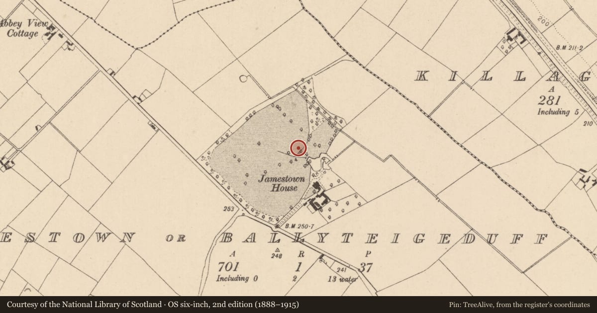 Ordnance Survey six-inch map, 2nd edition (1888–1915) covering the location of Fulacht fia, Jamestown Or Ballyteigeduff, County Laois, with a pin at the register's coordinates