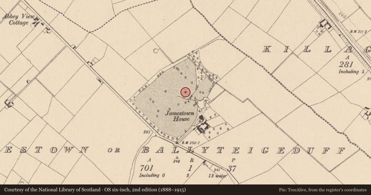 Ordnance Survey six-inch map, 2nd edition (1888–1915) covering the location of Fulacht fia, Jamestown Or Ballyteigeduff, County Laois, with a pin at the register's coordinates