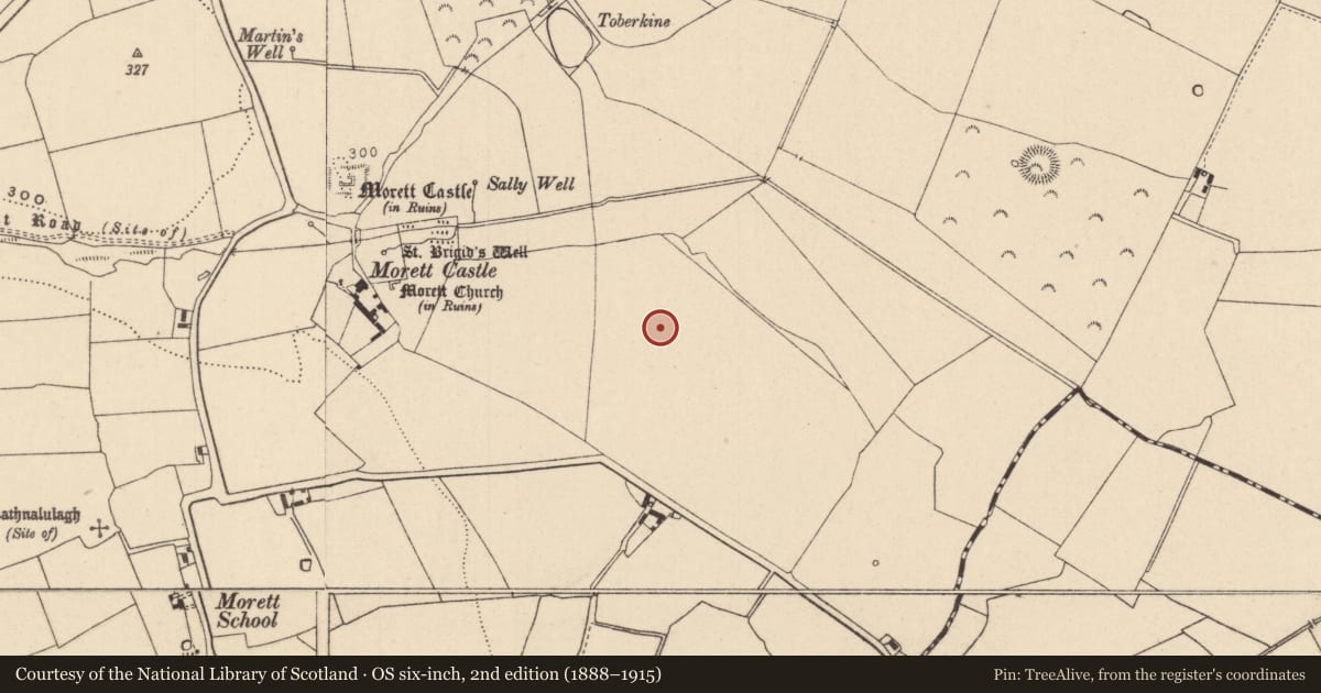 Ordnance Survey six-inch map, 2nd edition (1888–1915) covering the location of Enclosure, Morett, County Laois, with a pin at the register's coordinates