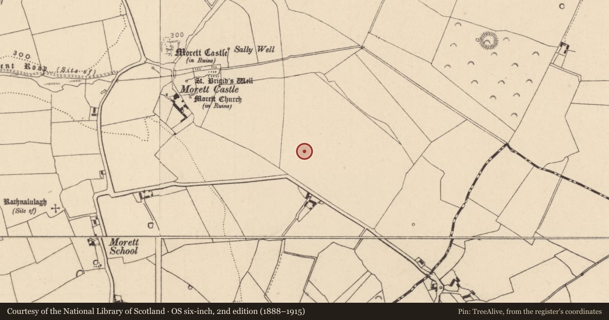 Ordnance Survey six-inch map, 2nd edition (1888–1915) covering the location of Enclosure, Morett, County Laois, with a pin at the register's coordinates