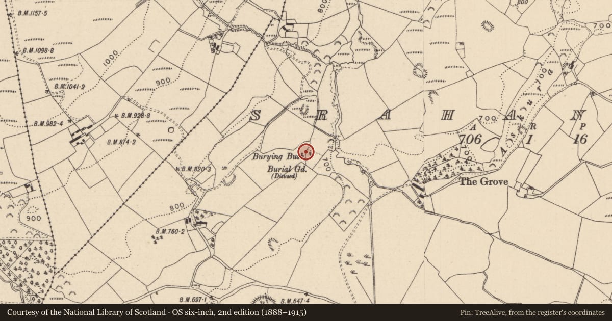 Ordnance Survey six-inch map, 2nd edition (1888–1915) covering the location of Ritual site - holy tree/bush, Srahanboy, County Laois, with a pin at the register's coordinates