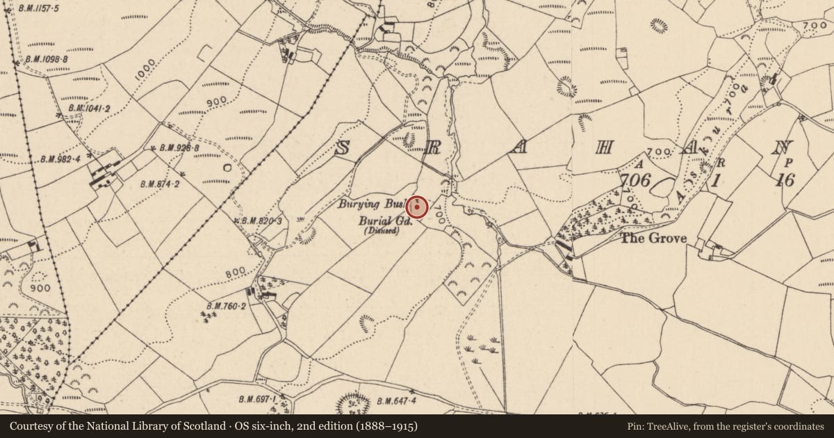 Ordnance Survey six-inch map, 2nd edition (1888–1915) covering the location of Bullaun stone, Srahanboy, County Laois, with a pin at the register's coordinates