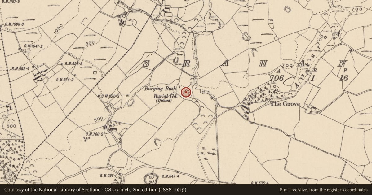 Ordnance Survey six-inch map, 2nd edition (1888–1915) covering the location of Ecclesiastical enclosure, Srahanboy, County Laois, with a pin at the register's coordinates