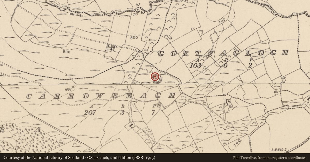 Ordnance Survey six-inch map, 2nd edition (1888–1915) covering the location of Ringfort - rath, Carrowreagh, County Laois, with a pin at the register's coordinates